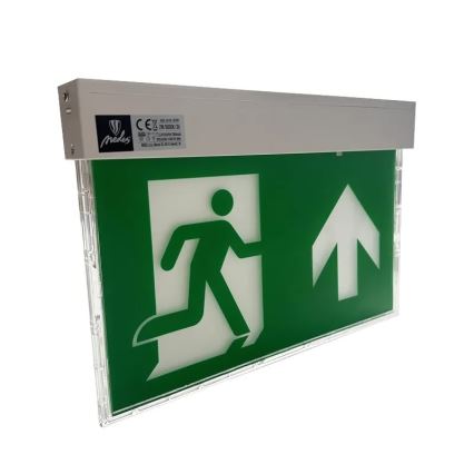 LED Awaryjna lampa LED/2W/230V 6000K 1500 mAh