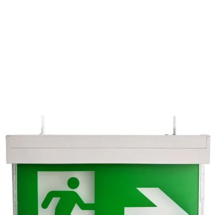 LED Awaryjna lampa LED/2W/230V 6000K 1500 mAh