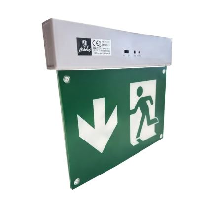 LED Awaryjna lampa LED/2W/230V 6000K 300 mAh