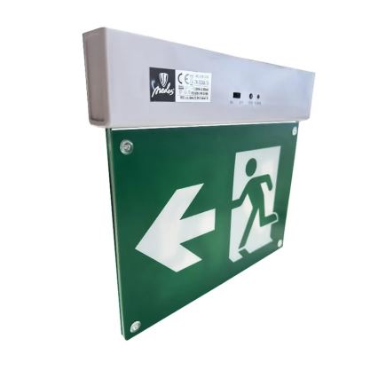 LED Awaryjna lampa LED/2W/230V 6000K 300 mAh