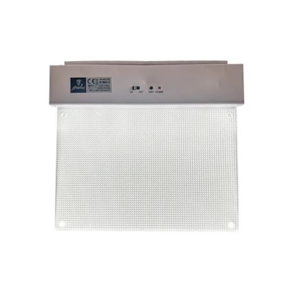 LED Awaryjna lampa LED/2W/230V 6000K 300 mAh
