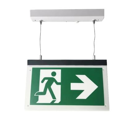 LED Awaryjna lampa LED/4W/230V 6000K 1000 mAh