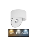LED Elastyczne oświetlenie punktowe LED/20W/230V 3000/4000/6400K CRI 90 białe
