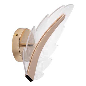 LED Kinkiet LED/12W/230V 3000-6500K złoty