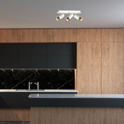 LED Kinkiet punktowy DANI 3xGU10/8W/230V