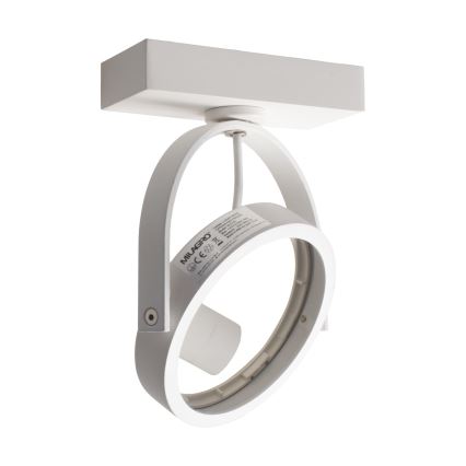 LED Kinkiet punktowy LUGAR 1xAR111 - GU10/25W/230V
