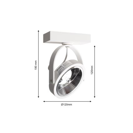 LED Kinkiet punktowy LUGAR 1xAR111 - GU10/25W/230V