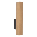 LED Kinkiet TEO LED/3W/230V 3000K sosna