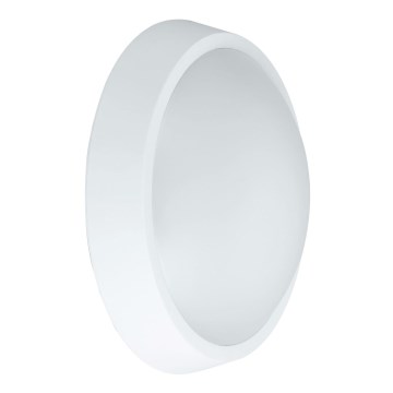 LED Kinkiet zewnętrzny BULKHEAD LED/30W/230V 4000K IP54 biały