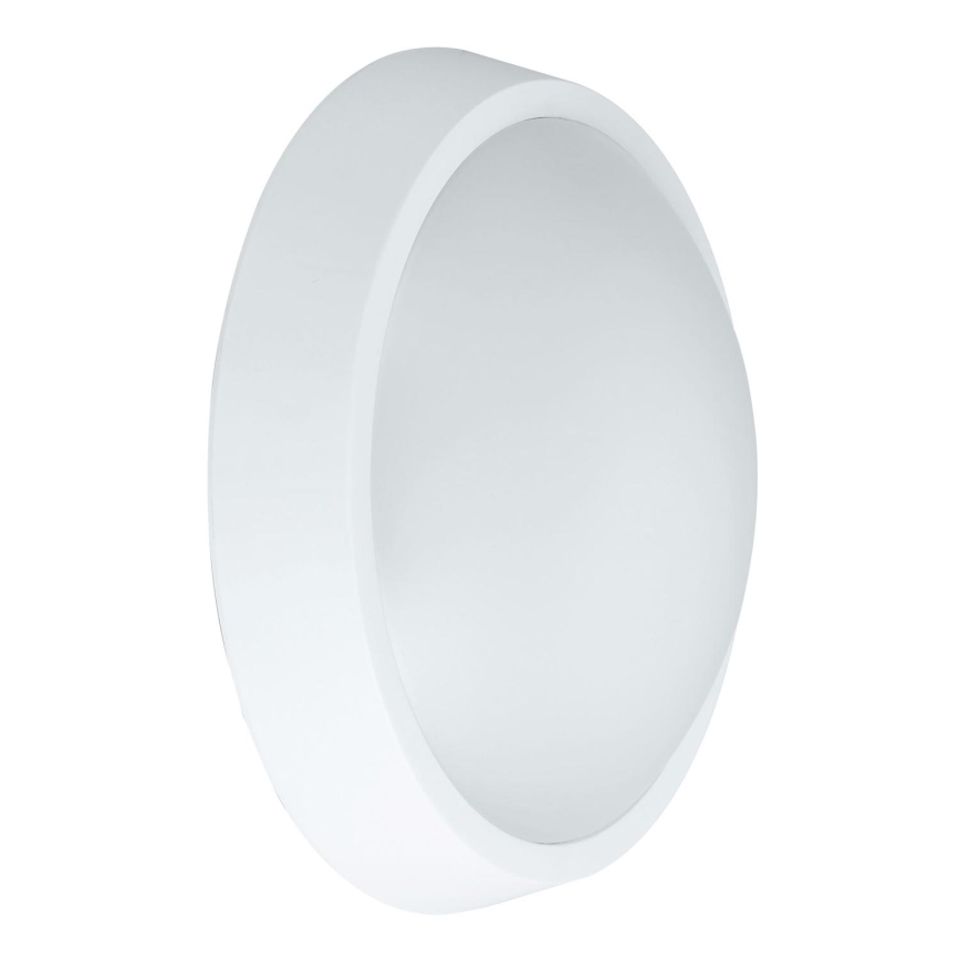 LED Kinkiet zewnętrzny BULKHEAD LED/30W/230V 4000K IP54 biały
