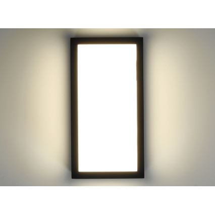 LED Kinkiet zewnętrzny ENTERA LED/10W/230V 4000K IP54