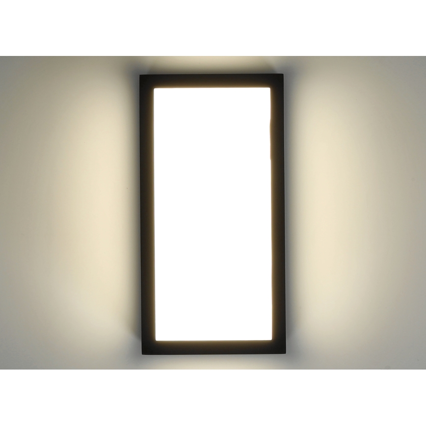 LED Kinkiet zewnętrzny ENTERA LED/10W/230V 4000K IP54