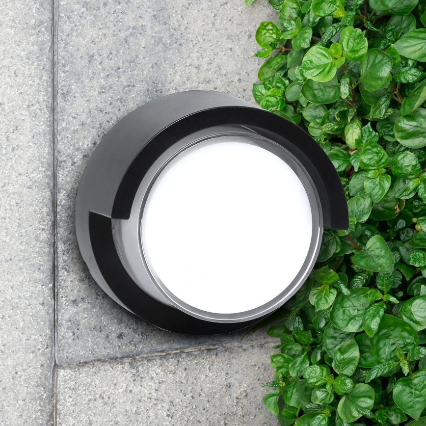 LED Kinkiet zewnętrzny ESSEN LED/10W/230V IP44 czarny