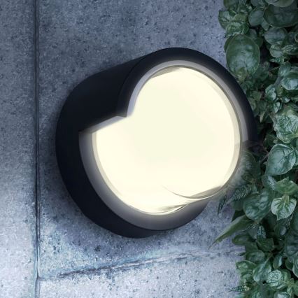 LED Kinkiet zewnętrzny ESSEN LED/10W/230V IP44 czarny