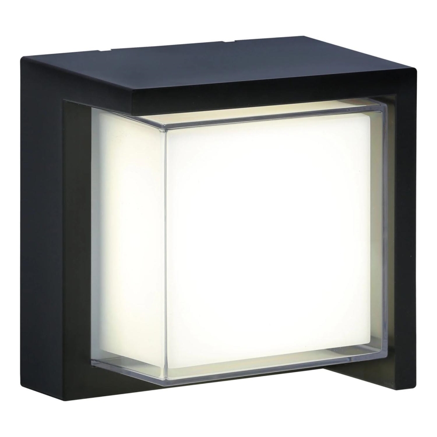 LED Kinkiet zewnętrzny ESSEN LED/12W/230V IP44 czarny