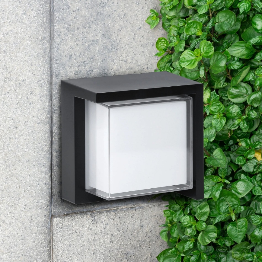 LED Kinkiet zewnętrzny ESSEN LED/12W/230V IP44 czarny