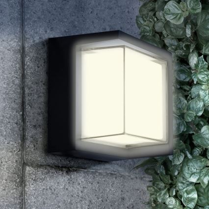 LED Kinkiet zewnętrzny ESSEN LED/12W/230V IP44 czarny