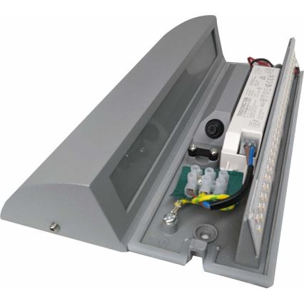 LED Kinkiet zewnętrzny LED/10W/230V IP54