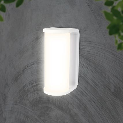 LED Kinkiet zewnętrzny LED/12W/230V 3000/4200/6500K IP65 biały