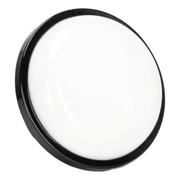 LED Kinkiet zewnętrzny LED/15W/230V 6500K śr. 15,5 cm czarny IP65