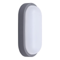 LED Kinkiet zewnętrzny LED/20W/230V 4000K IP54 szary elipsa