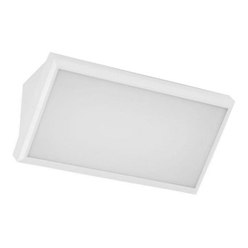 LED Kinkiet zewnętrzny LED/20W/230V 6400K IP65 biały