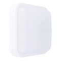 LED Kinkiet zewnętrzny LED/20W/230V IP54 
