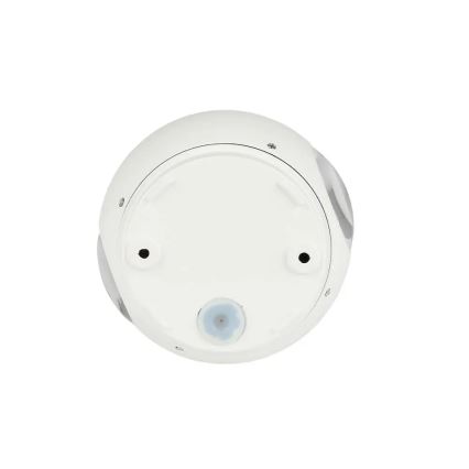 LED Kinkiet zewnętrzny LED/6W/230V 4000K IP65 biały