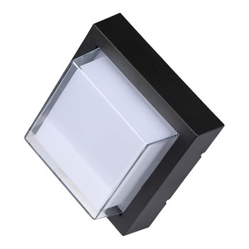 LED Kinkiet zewnętrzny LED/7W/230V IP65