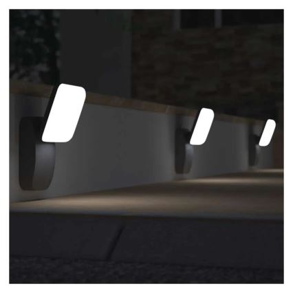 LED Kinkiet zewnętrzny NIKA LED/12,5W/230V IP44