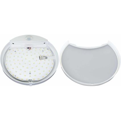 LED Kinkiet zewnętrzny z czujnikiem HIBIS LED/15W/230V IP44