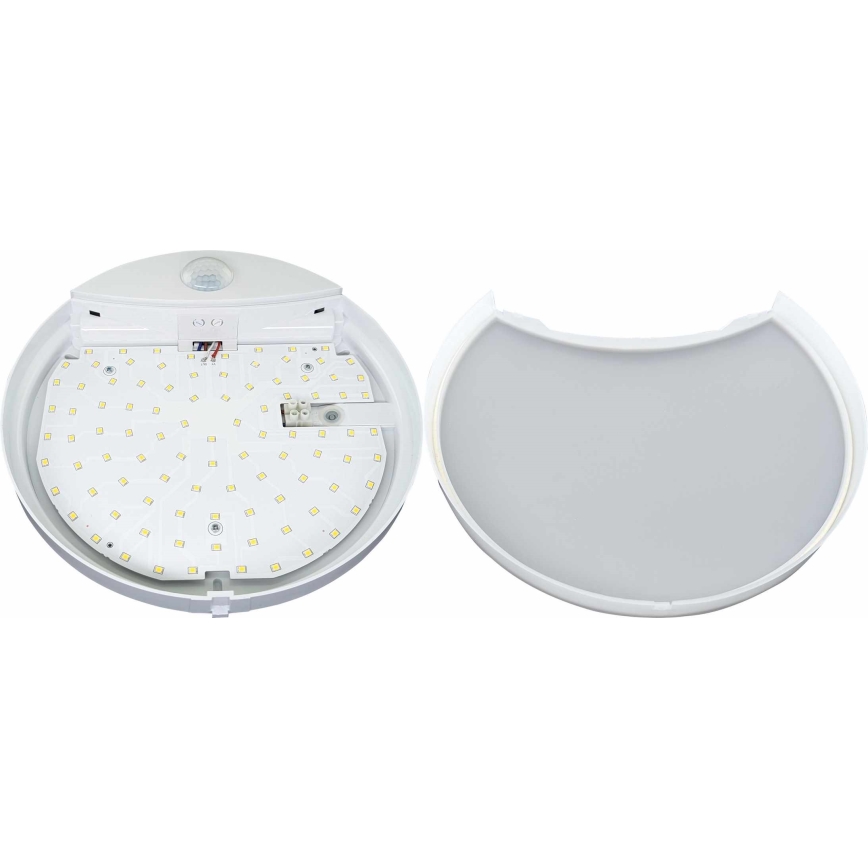 LED Kinkiet zewnętrzny z czujnikiem HIBIS LED/15W/230V IP44