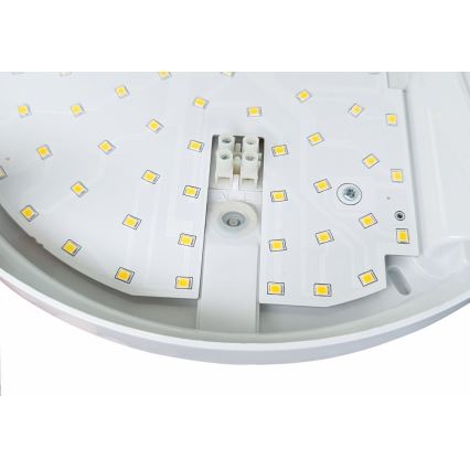 LED Kinkiet zewnętrzny z czujnikiem HIBIS LED/15W/230V IP44