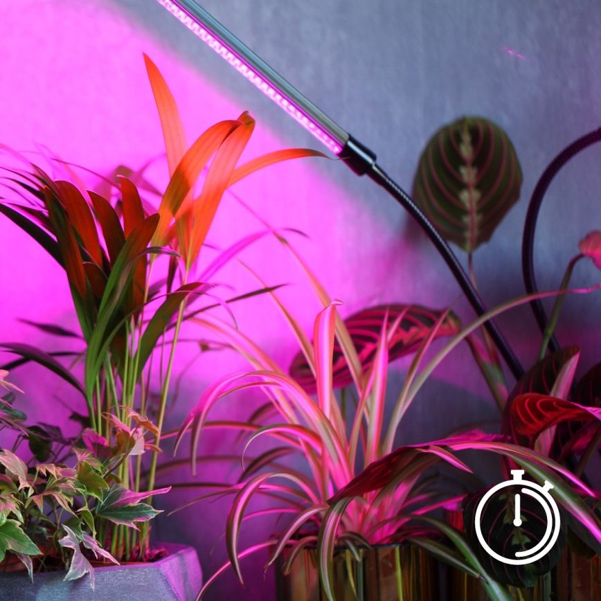 LED Regulowana elastyczna lampa stołowa z klipsem do uprawy roślin VITARO 4xLED/10W/230V czarna