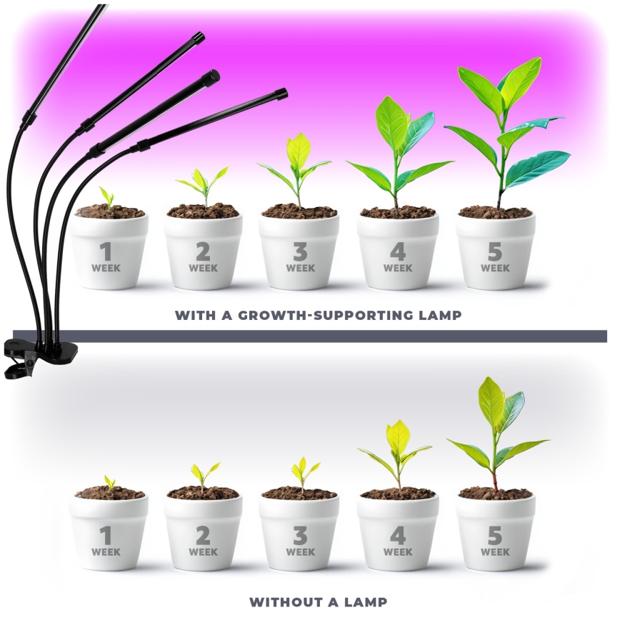 LED Regulowana elastyczna lampa stołowa z klipsem do uprawy roślin VITARO 4xLED/10W/230V czarna