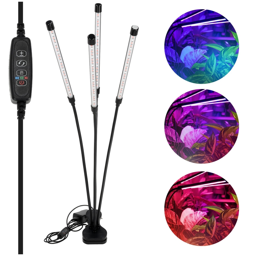 LED Regulowana elastyczna lampa stołowa z klipsem do uprawy roślin VITARO 4xLED/10W/230V czarna