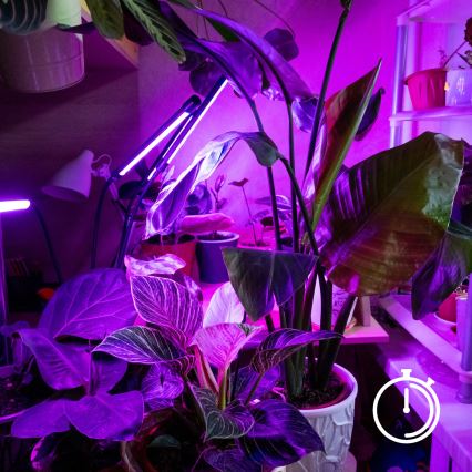 Regulowana jasem elastyczna lampa stołowa LED z klipsem do uprawy roślin VITARO 3xLED/10W/230V czarna