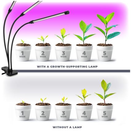 Regulowana jasem elastyczna lampa stołowa LED z klipsem do uprawy roślin VITARO 3xLED/10W/230V czarna