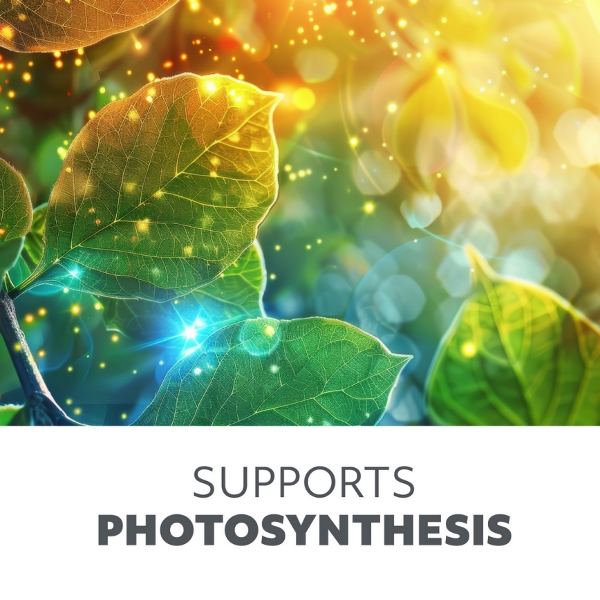 Regulowana jasem elastyczna lampa stołowa LED z klipsem do uprawy roślin VITARO 3xLED/10W/230V czarna