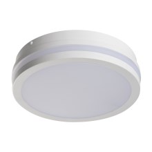 LED Lampa natynkowa BENO LED/18W/230V 3000K Biała IP54