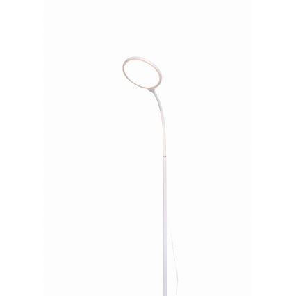 LED Lampa podłogowa ściemnialna 2w1 LED/10W/230V biały