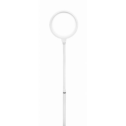 LED Lampa podłogowa ściemnialna 2w1 LED/10W/230V biały