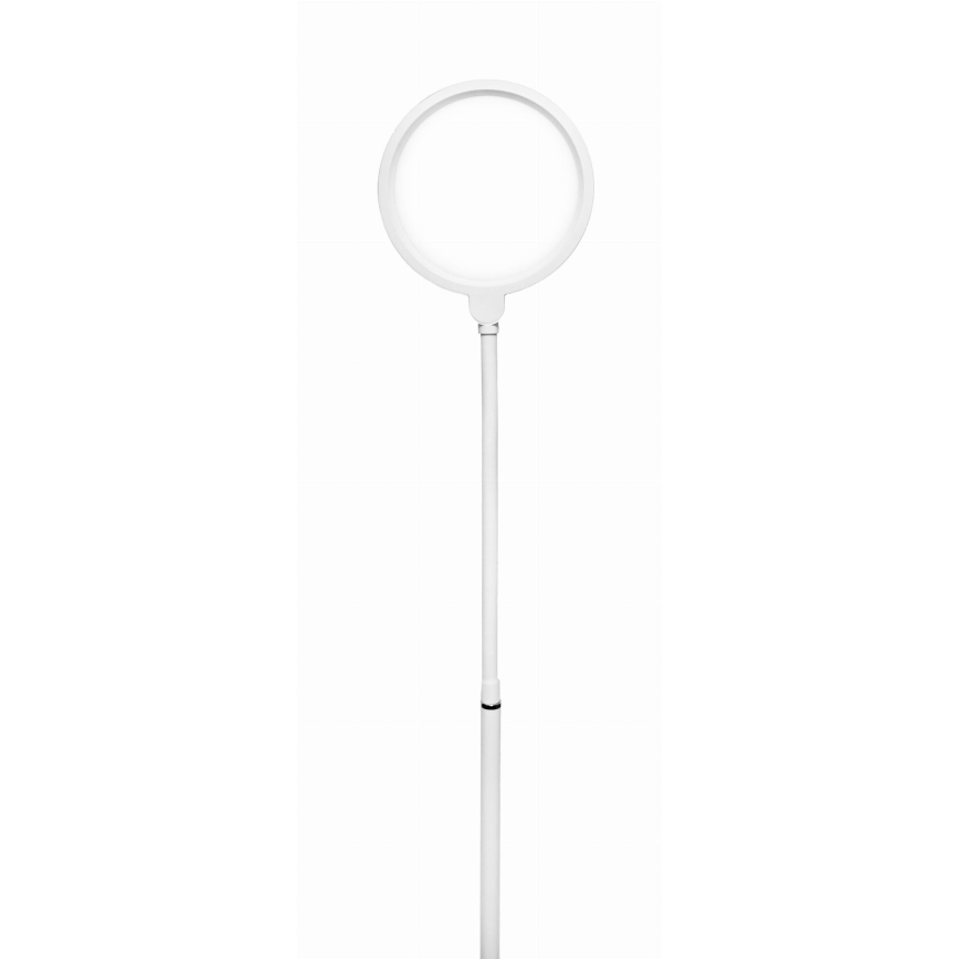 LED Lampa podłogowa ściemnialna 2w1 LED/10W/230V biały