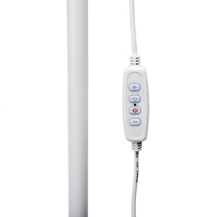 LED Lampa podłogowa ściemnialna SIGNUS LED/10W/230V 3000/4500/6500K biały