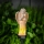 LED lampa solarna LED/1,2V 300 mAh IP44 anioł