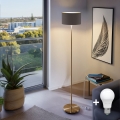 LED Lampa stojąca TUNJA 1xE27/20W/230V śr. 30 cm złota/brązowa