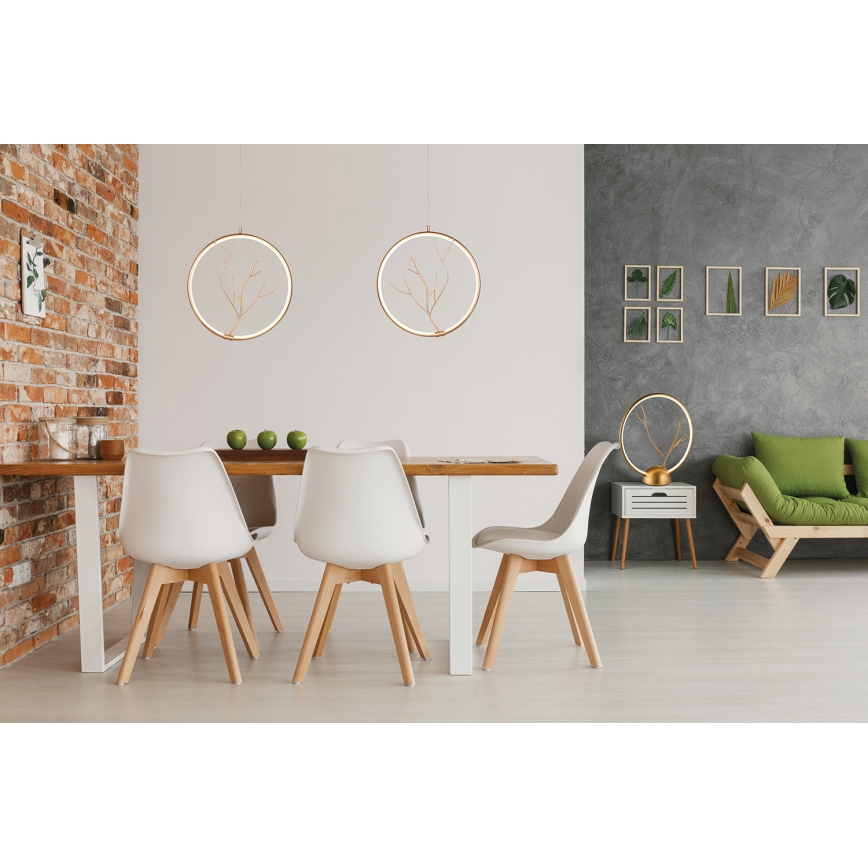 LED Lampa stołowa DAVOS LED/11,5W/230V