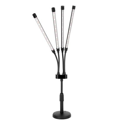 LED Ściemnialna elastyczny Lampa stołowa do uprawy roślin VITARO 4xLED/10W/230V czarny