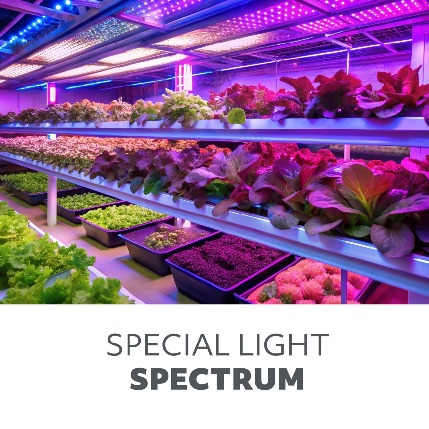LED Ściemnialna elastyczny Lampa stołowa do uprawy roślin VITARO 4xLED/10W/230V czarny