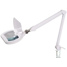 LED Lampa stołowa ściemnialna z lupą LED/12W/230V biały